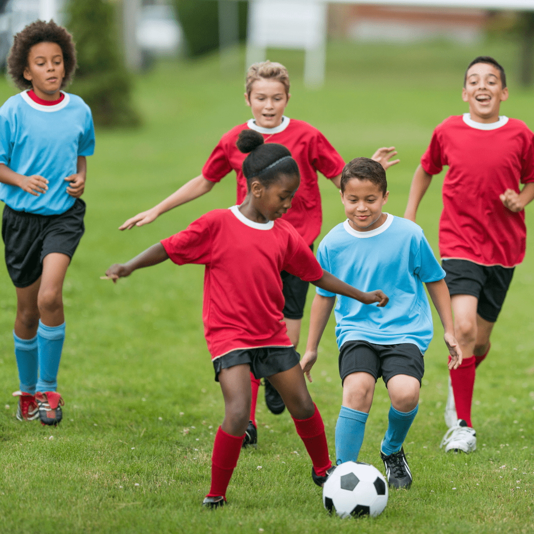 School Holiday Camps