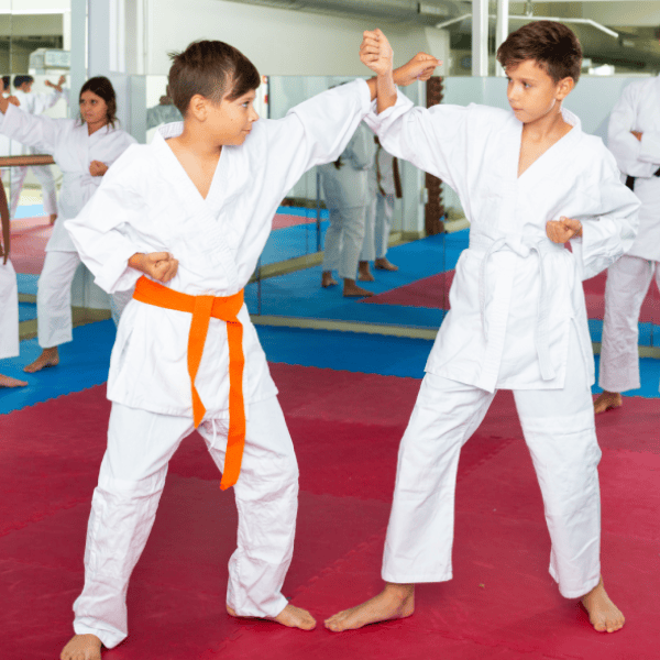 Jiu Jitsu Camps and Classes for Kids ActivityHero